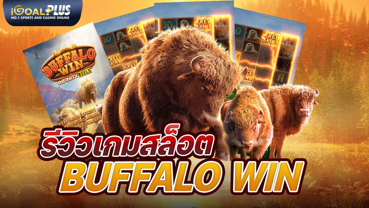 รีวิวเกมสล็อต Buffalo Win